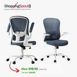 Save $300 on Home Office Chair